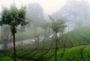 Angin Kencang Melanda Puncak Bogor, Begini Penjelasan BMKG - JPNN.com