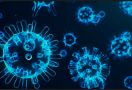 Mengapa Imunitas Penting untuk Melawan Virus Corona? - JPNN.com
