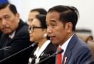 Legislator Gerindra Curiga Ada yang Ingin Menjerumuskan Jokowi - JPNN.com
