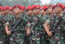 DPR Mulai Pertimbangkan Pelibatan TNI Memerangi Corona - JPNN.com