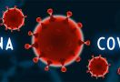 Enam Cara Sederhana ala KLHK, Cegah Penyebaran Virus Corona - JPNN.com