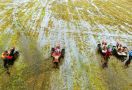 Optimasi Lahan Rawa Siap Tingkatkan Produktivitas Pertanian - JPNN.com