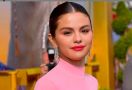 Selena Gomez Kecam Facebook dan Instagram - JPNN.com