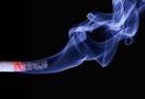 Pemerintah Kurang Tegas Terhadap Harga Rokok, Anak-anak jadi Korbannya - JPNN.com