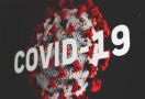 Peneliti: Antiserum IgY Kandidat Baik untuk Pengobatan COVID-19 - JPNN.com