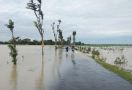 600 Ha Sawah Banjir, Petani Bisa Klaim Asuransi - JPNN.com