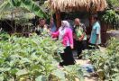 Kelompok Wanita Tani di Jateng Manfaatkan Pekarangan untuk Memenuhi Kebutuhan Pangan - JPNN.com