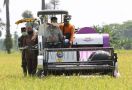 Jajal Combine Harvester, Mentan Gelar Panen Raya di Kabupaten Pandeglang - JPNN.com