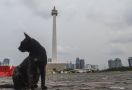 Hari Pertama Ramadan, Begini Prakiraan Cuaca Jakarta Mulai Pagi Hingga Malam Hari - JPNN.com
