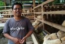 Tanfidzul Khoiri, Milenial asal Madiun, Peternak yang Punya Omzet Rp 90 Juta per Bulan - JPNN.com