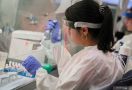 Satgas: Laboratorium Covid-19 Minimal Berstandar Biosafety Level 2 - JPNN.com