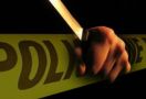 Wanita PSK Ditusuk Belasan Kali di Hotel Tamansari, Masih Hidup, Sempat 'Main' dengan Pelaku - JPNN.com