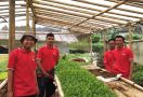 Akademisi IPB: Sektor Pertanian Jadi Penyelamat Perekonomian Nasional - JPNN.com