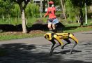 Singapura Gunakan Robot Anjing untuk Ingatkan Warganya Agar Jaga Jarak - JPNN.com