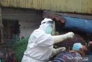 Survei KedaiKOPI: Sisi Kesehatan Lebih Diperhatikan ketimbang Ekonomi Selama Pandemi Covid-19 - JPNN.com
