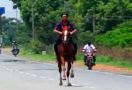 Mobil Dibatasi di Jalanan, Akhirnya Anak Anggota Dewan ini Ngebut Berkuda di Jalanan - JPNN.com