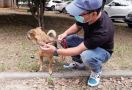 Mengharukan! Anjing Setia Tunggu Majikannya Selama 3 Bulan di Lobi RS - JPNN.com