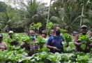 Kelompok Tani di Yapen Panen Sayuran Saat Pandemi Covid-19 - JPNN.com