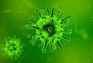 Ahli Epidemiologi Sebut Virus Corona tak Bisa Menular dari Makanan - JPNN.com