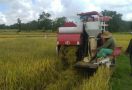 DPR RI Minta Anggaran Sektor Pertanian Tidak Dipotong - JPNN.com