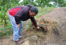 Misteri Makhluk Pengisap Darah di Taput, Mampu Angkat Beban 25 Kg hingga Bengkokkan Besi - JPNN.com