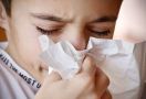 Hidung Berair, Akibat Sinusitis atau Alergi? - JPNN.com