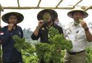 Mentan Syahrul Dorong Budidaya Sayuran Organik dari Petani Milenial - JPNN.com