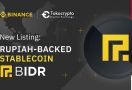 Binance dan Tokocrypto Resmi Perdagangkan BIDR - JPNN.com