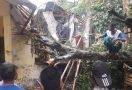 Rumah Warga Bogor Hancur Tertimpa Pohon Tumbang - JPNN.com
