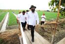 Dunia Terancam Kelaparan, Menteri Teten Dorong Penguatan Koperasi Pangan - JPNN.com