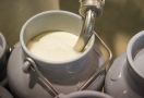 Waspada! Minum Susu Sapi Mentah Bisa Menimbulkan Penyakit, Ini Penjelasannya - JPNN.com