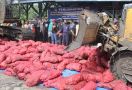 Bea Cukai Bengkalis Musnahkan 11 Ton Bawang Merah Ilegal - JPNN.com