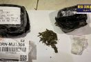 Bea Cukai Gagalkan Penyelundupan Narkotika Via Jasa Kiriman - JPNN.com