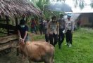 Sapi Curian Kebesaran, Dua Pencuri Kebingungan Saat Mau Angkut, Begini Akhirnya - JPNN.com