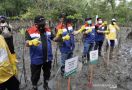 Top! Pertamina Tanam Ribuan Bibit Mangrove di Pesisir Balikpapan - JPNN.com