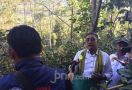 Gus Jazil MPR Berharap Kopi Bajawa Dipasarkan ke Mancanegara - JPNN.com