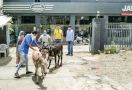 Kesal Lantaran Motor Sering Mati, Pria Ini Bawa Dua Ekor Keledai ke Dealer - JPNN.com