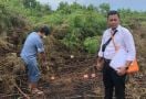 Salimudin Ditemukan Tewas Mengenaskan saat Membakar Semak Belukar - JPNN.com