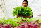 Aquagriculture Mulai Dikembangkan di Bogor - JPNN.com