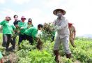 Terbukti, Sektor Pertanian dan Perkebunan Tetap Bertahan di Tengah Pandemi COVID-19 - JPNN.com