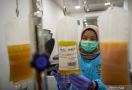 Pakar Epidemiologi Sebut Uji Klinis Obat Kombinasi Covid-19 Buatan Unair Belum Terdaftar di WHO - JPNN.com