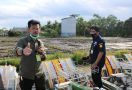 Dukung Food Estate Kalteng, 844 Alsintan Prapanen Digelontorkan Sepanjang 2020 - JPNN.com