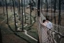 Buat Pasangan Muda, Pengin Abadikan Momen Terindah? Silakan Berkunjung di Orchid Forest Bandung - JPNN.com