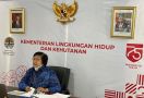 Menteri Siti Dorong Solusi Permanen Soal Karhutla - JPNN.com