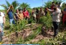 Mayat Joko Febriyanto Ditemukan Penuh Luka di Pinggir Jalan, Warga Geger, Lihat Fotonya - JPNN.com