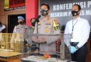 Polisi Tangkap Penjual Burung Tiong Emas, Berapa Harganya? - JPNN.com