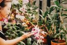 Keren, 3 Wisata Taman Bunga di Bandung Ini Cocok Untuk Liburan Akhir Pekan - JPNN.com