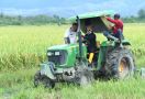 Mentan Syahrul Pantau Jalannya Produktivitas Pertanian di Pulau Buru - JPNN.com