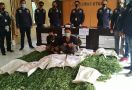 Polisi Temukan Ladang Ganja Seluas Satu Hektare di Bukit Barisan, Dua Pemuda Diringkus - JPNN.com