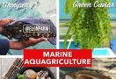 Marine Aquagriculture, Pertanian Modern Berbasis Air Laut - JPNN.com